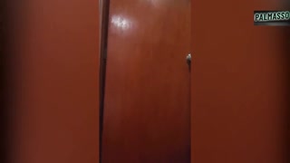 Érett latinával az utcán kemény análisra vittem