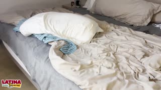 غالاطيا قلبها يدق في كاستينغ لاتيني أول شرجي مع قذف داخلي