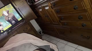 แฟนสาวหยุดดูดควยใหญ่ของฉันไม่ได้ทุกวันเลย