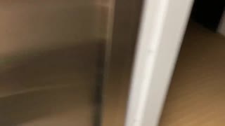 I meet my horny neighbor in the elevator and we fuck until we get caught