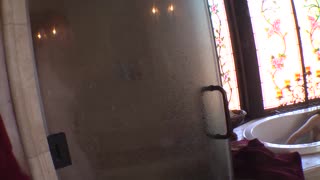 Hey, Faye Reagan and Victoria Valentino play cougars with kittens in lingerie