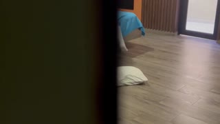 pervert ambushes big ass in uniform for rough anal fuck and massive cum on floor