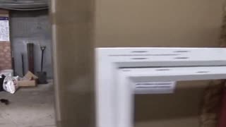 coed babe dives into a wild threesome with intense pussy licking action