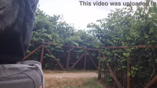 Käsityö yllätys satunnaiselle lutkalle julkisessa metsässä