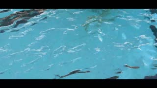 ਰਿਲੈਕਸਿੰਗ ਸਟੇਕੇਸ਼ਨ ਸਲਟਰੀ ਮਿਲਫ ਅਤੇ ਉਸ ਦੀ ਦੋਸਤ ਨਾਲ ਪੂਲ ਕੋਲ