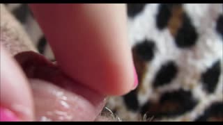 Orgasm Klitoris Gedhe Intens Direkam Cedhak