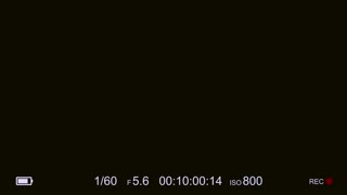 হে, কেন আমার বেস্ট ফ্রেন্ডকে ব্যাং করছিলে?