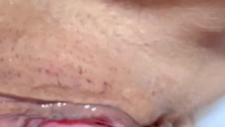 amateur shaved pussy closeup after 106 days of fucking