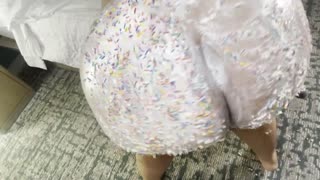 StacXXXs Unveils Jaidyn Venus in Sultry Sundae Making Session