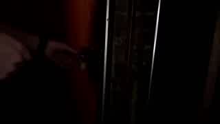 brunette lesbians lick shaved pussies in german domination