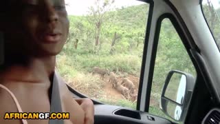 Pretty African girlfriend takes risky outdoor deepthroat from BWC 😈