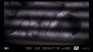 Vay, Komşumu Sıcak Bir Kızla Sikerken Yakaladım!