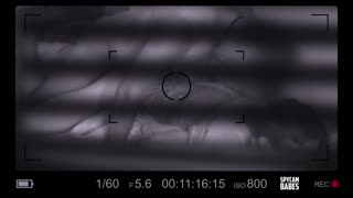 Å nei, jeg fanget naboen som knuller en het jente hardt!