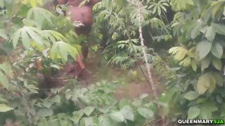 skinny 18yo slut pounded by neighborhood cocks!