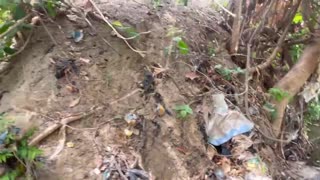 Picnic outing in the forest reserve