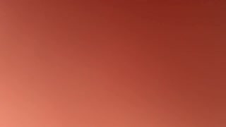 m-am dus să fac tacâmuri cu prietenii mei în mlaștina Bahia