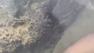 陌生人当众喂我精液给鱼吃