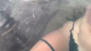 見知らぬ人がみんなの前で私の精子を魚に餌やり