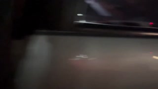 group of friends gather in the fur for a casual hangout in front of everyone, sharing laughs without a care