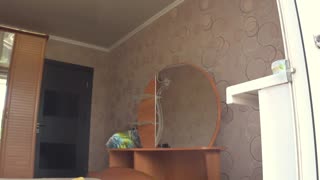 Neighbor Peeks at Chubby Milf's Curvy Body Display