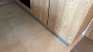 Milf Best Friend Borrows Salt Then Takes Cock in Close-Up Doggystyle