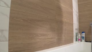 bathroom camera watches mature wife showering her plump figure