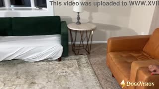 Ebony BBW Takes Balls-Deep Anal and Grimaces at Cum Taste!