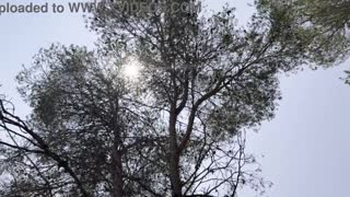 Katso isoposkainen blondi BBC-panossa content-talossa kunnolla