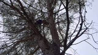 콘텐츠 하우스서 큰 엉덩이 금발이 BBC에 박히는 거 보고 싶어?