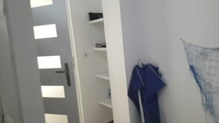 그녀가 엉덩이에 정액이 묻은 채 깨어나! 나의 야생 기숙사 모험