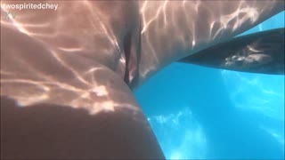 holiday threesome in the pool