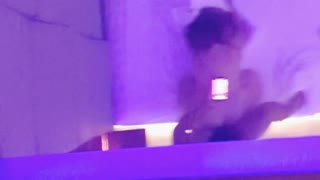 Wanita selingkuh hisap batang empat kaki masa suami cornud call