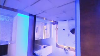 불륜 여자가 네 발로 빨아주는데 왁 남편 전화 옴