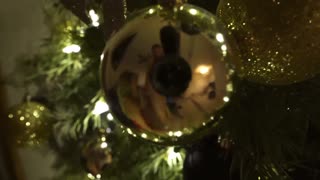 金发熟女人妻麦亚·莱恩圣诞树下后入大屌屄臀颜射！