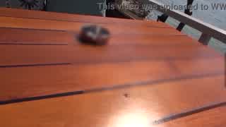 check out these wild public outdoor milf blowjobs handjobs and facial cumshots this summer!