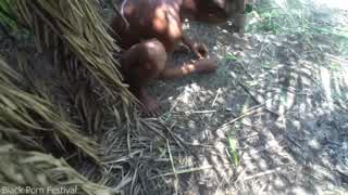 Deep in the forest, the African tribe chief gets an outdoor welcome like no other