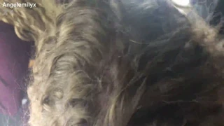 एंजल एमिली, अमात्युर टीन 18+, सार्वजनिक चेंजिंग रूममध्ये बिग कॉक हार्डने सुक आणि फक करते, कोणतीही मर्यादा नाही