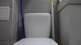 i'm a mature bbw spreading my wet hairy pussy to piss in the toilet closeup