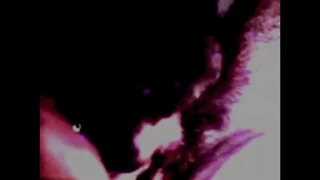 Vintage interracial threesome hits with hairy black pussy! 📼🍑👨🏾‍❤️‍👨🏻💦