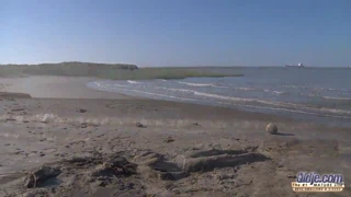 young beach slut deepthroats old man cock then swallows his load after pussy ride