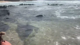 Stranac hrani moje sjeme ribama pred svima