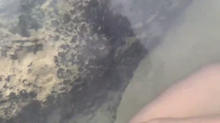 Stranac hrani ribe mojim semenom pred svima