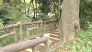 Kazuki Sakura Brilha como Asiática Casada Sedutora em Encontro Audaz