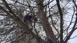 ¿Quieres ver a esta rubia culona empotrada por BBC en la casa de contenido?
