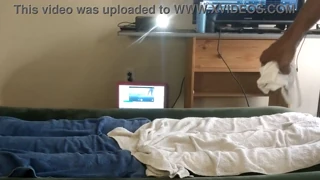 amateur street milfs take dick deep in their wet pussies