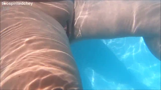 Threesome yang Menyenangkan di Kolam Renang Selama Liburan