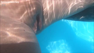 휴가 수영장에서 쓰리섬 섹스
