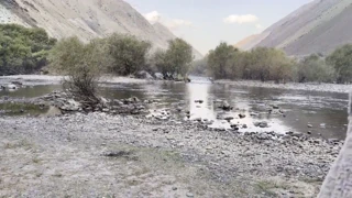 compilation of public pissing in nature! showing pads! pov! free! 🔥💦🌳