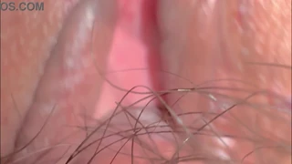 What happens 331 days after that pink pussy loses its virginity?
