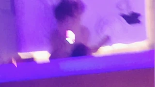 出轨人妻四肢着地跪吹老公电话来电绿帽！
